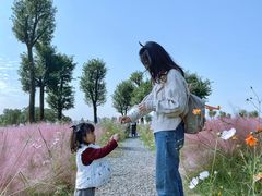 -汉长安城未央宫国家考古遗址公园