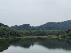 -青龙山国家森林公园