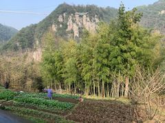 -丹山赤水风景名胜区