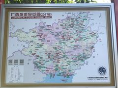 -金花茶公园
