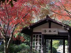 -中国茶叶博物馆(双峰馆区)