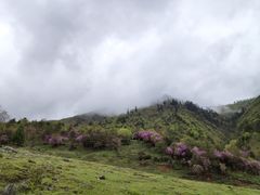 -硗碛藏寨·神木垒景区