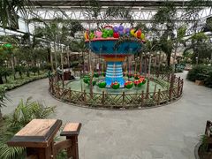 -南宫五洲植物乐园