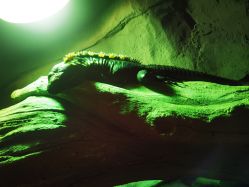 -Zoolung Zoolung动物主题公园(海信广场店)