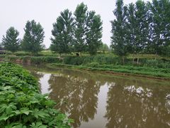 -洨河生态公园