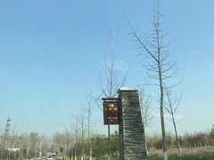 -东郊湿地公园