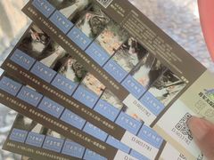 -将军关探险漂流