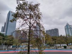 -天河体育中心