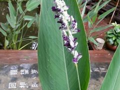 -新竹里馆·花园餐厅(兴苑路店)