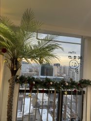 -小梨专业脱毛连锁机构