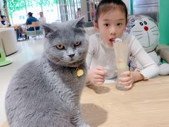 -藏猫猫咖啡主题馆(中央大道店)