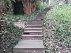 -重庆彩云湖湿地公园