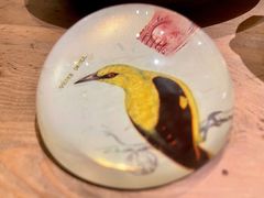 -懒鱼时光馆(沙坪坝店)