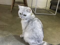 -研途咖啡馆(健康路店)