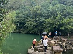 -冶父山国家森林公园