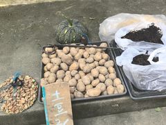 -丝绸小镇荻港古村