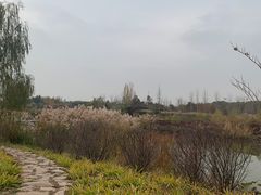 -东郊湿地公园