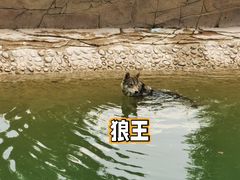 -太原动物园