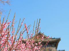 -北京明城墙遗址公园