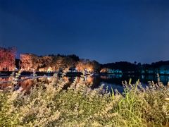 -沿途四季·云南菜·诗酒茶(蓝色港湾店)