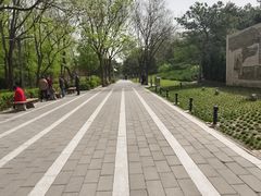 -元大都城垣遗址公园