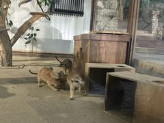 -成都欢乐谷