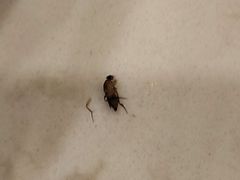 -和福顺养生焖锅(吾悦广场店)