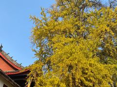 -金堂县云顶石城风景区
