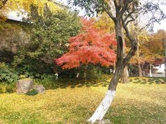 -狼山风景名胜区