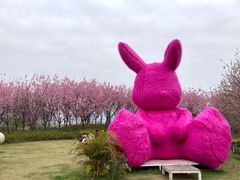 -福建鲤鱼洲酒店