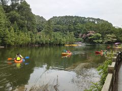 -广州市帽峰山景区