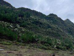 -英西峰林九重天景区