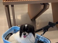 -崎本的店·专业酵种吐司(无锡万象汇店)