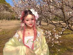 -香雪海