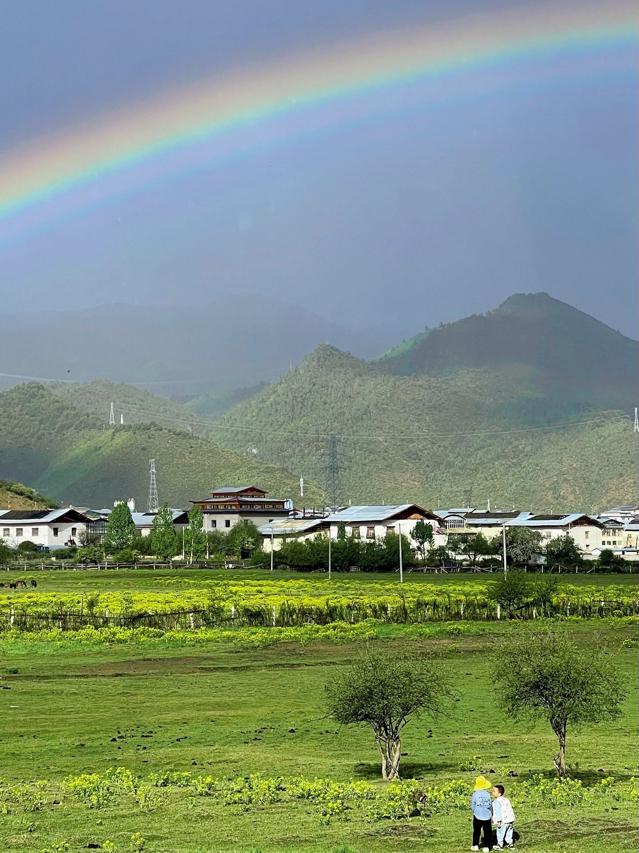 香格里拉草原 暴雨过后遇见双彩虹🌈