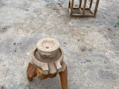 -上海都市菜园