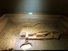 -洛阳周王城天子驾六博物馆