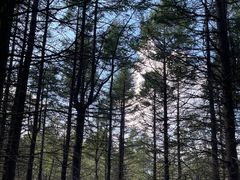 -白草畔自然风景区