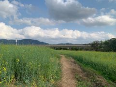 -光明小镇欢乐田园