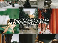 -西安大兴善寺
