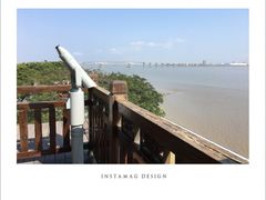 -大湾区中央湿地公园