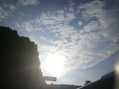 -南京维景国际大酒店(南京博物院店)