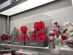 -ROSEONLY诺誓(沈阳万象城店)