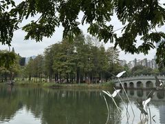 -四海公园(南山区)