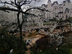 -花果园湿地公园