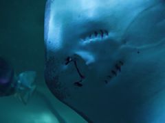 -左海海底世界