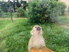 -辛玛王国游乐园