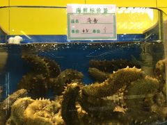 -荣祥海鲜·烟台菜(胜利路二部)