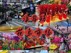 -溪岸路花鸟市场
