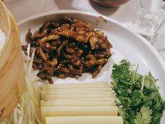 -大鸭梨烤鸭店(花园村店)